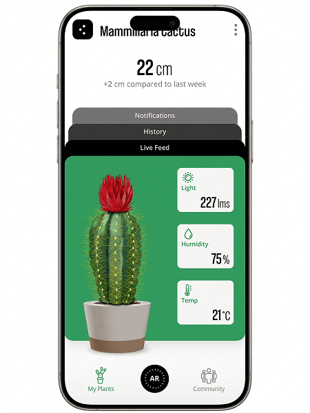 Website Mockup preset preview