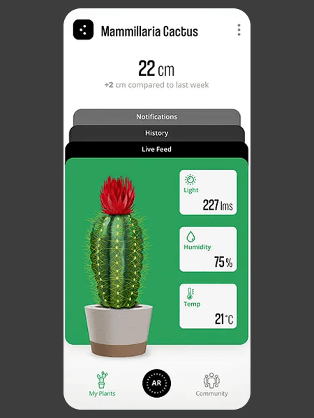 Website Mockup before