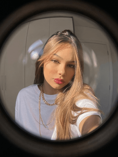 Door Peephole preset preview
