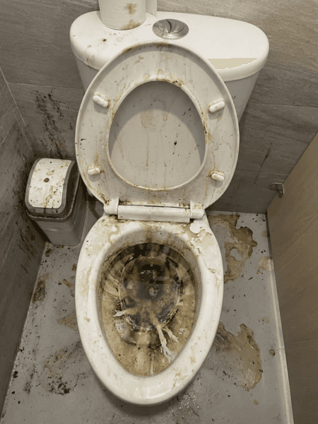 Dirty Toilets preset preview
