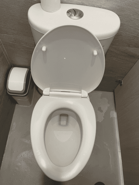 Dirty Toilets before